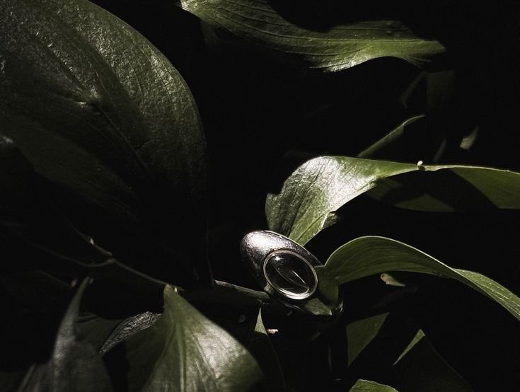 #27: The Lucky Girl Syndrome Era, ♥︎ tweet media