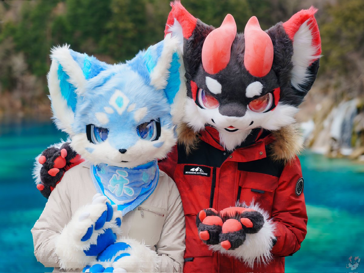 黑小焱 tweet media