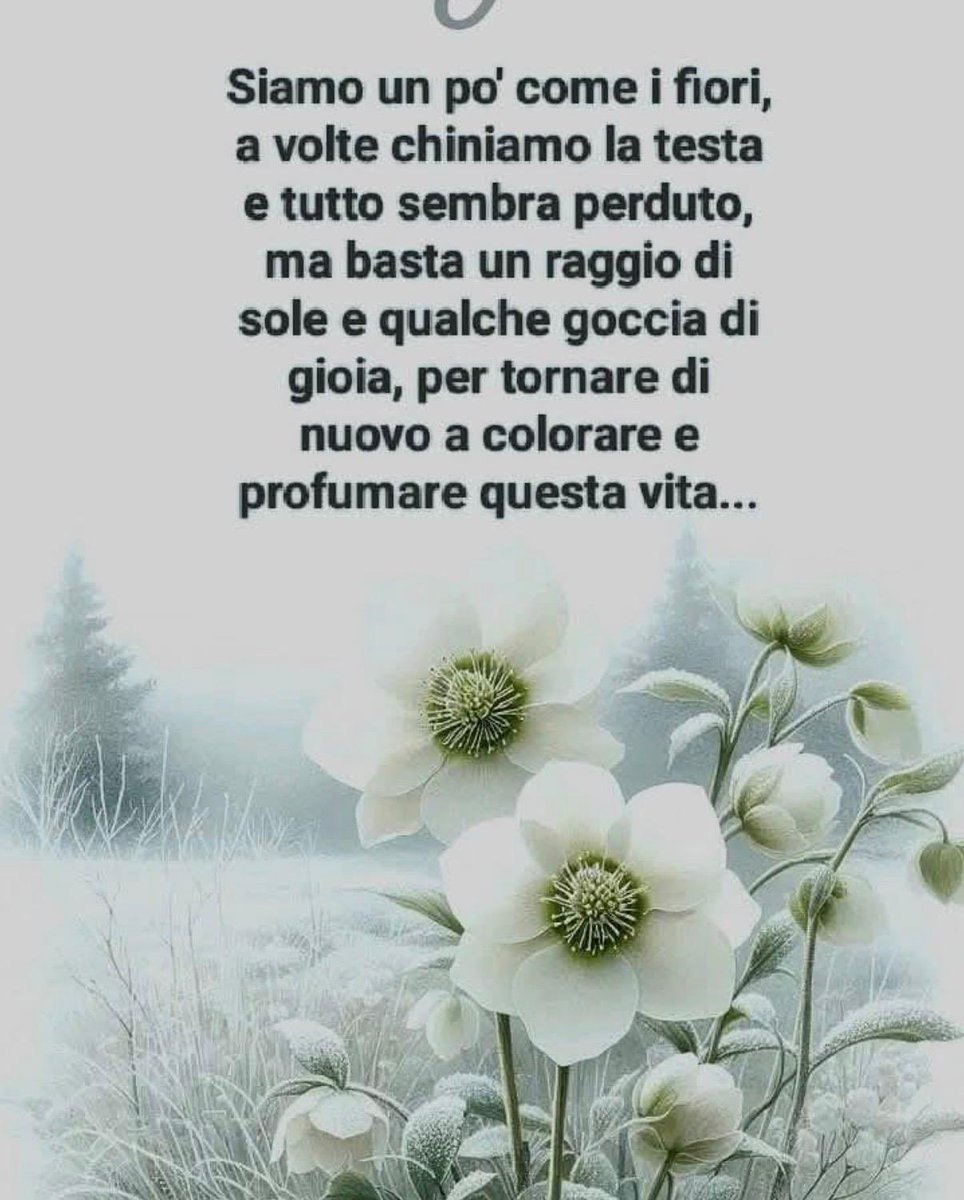 Buongiorno e buon venerdì