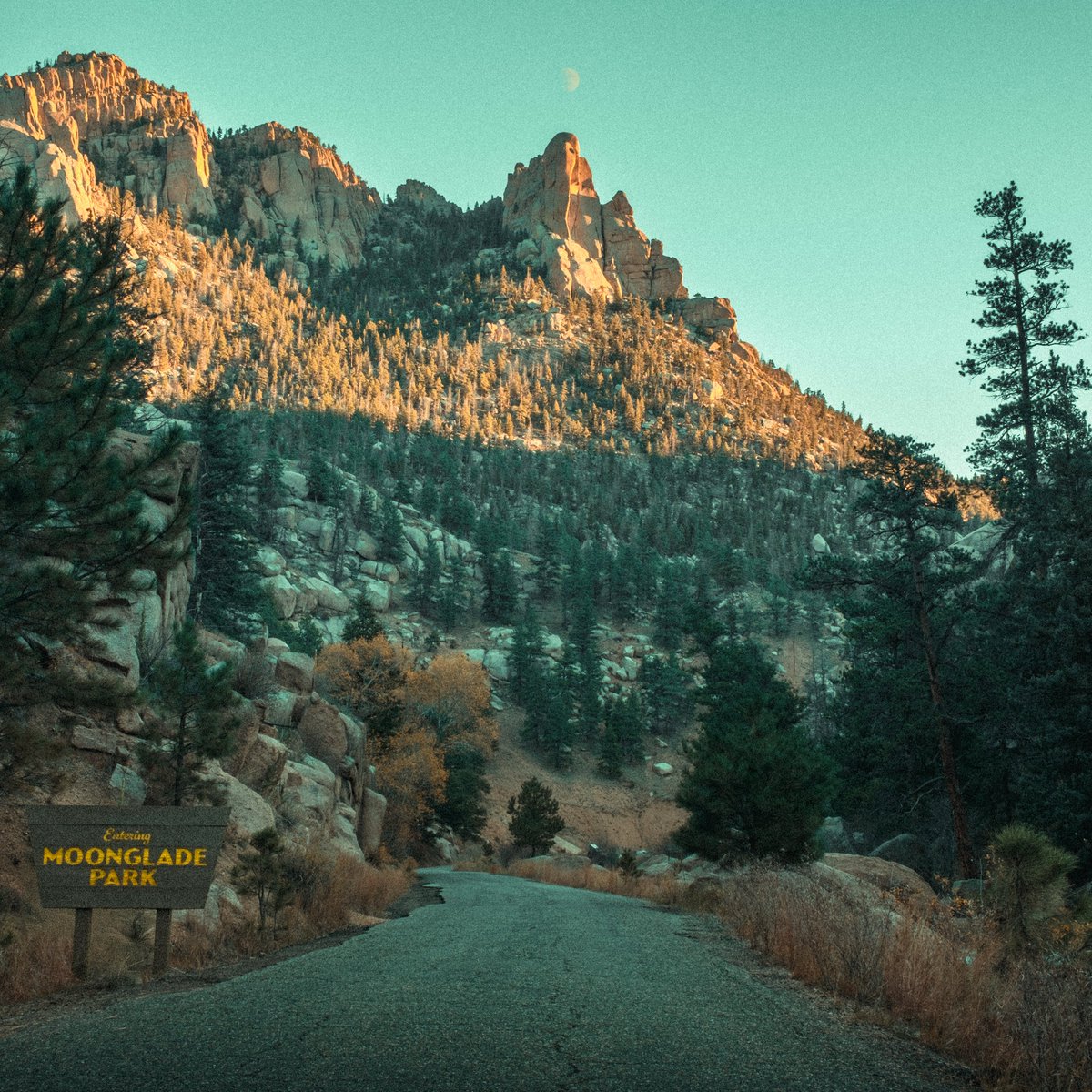 OfTheTrees's tweet photo. Moonglade Park [ ALBUM OUT NOW ]

https://t.co/ZxqfDFKx4d https://t.co/InacjQC0qb