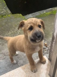 ขึ้นเขียงมาละครับ หน้าเปนงี้ตอนเน้ 🥹🥲