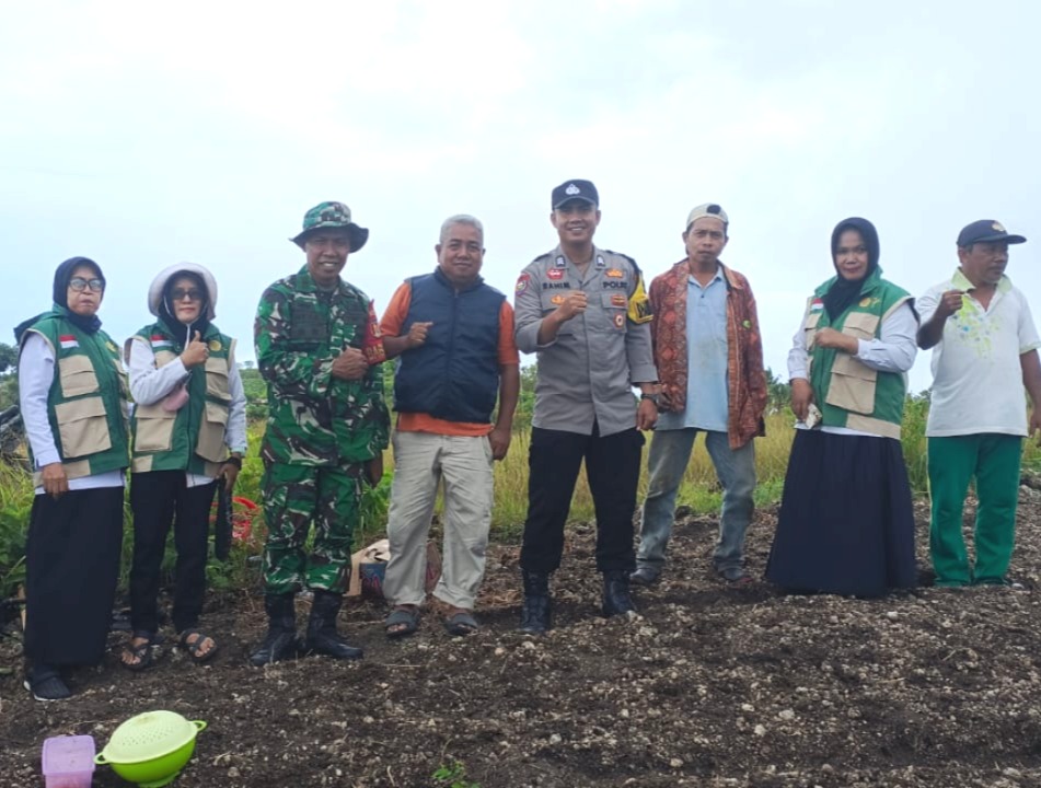 Dukung Ketahanan Pangan Nasional, Bhabinkamtibmas Polsek Banggae Brigpol Abdul Rahim Bersama Petani Tanam Bawang Merah di Kalasa Kelurahan Totoli, Kecamatan Banggae, Kabupaten Majene, Jumat (13/2/2026).