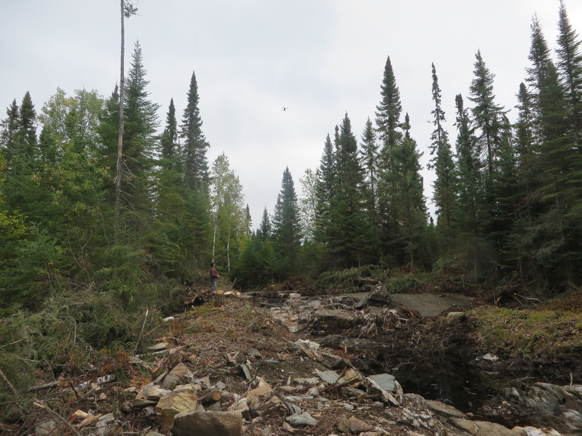 Argo Oil tweet media