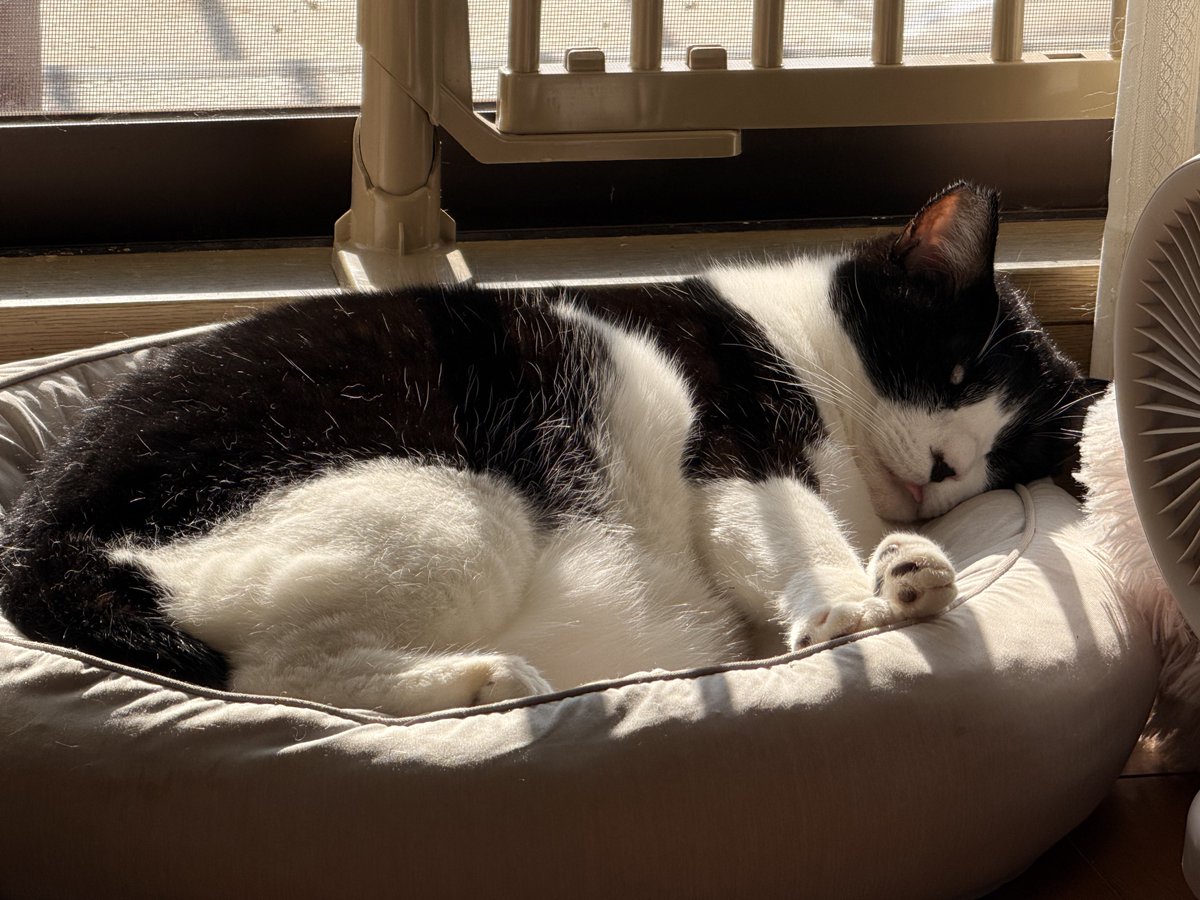 舌はみ出てるよ