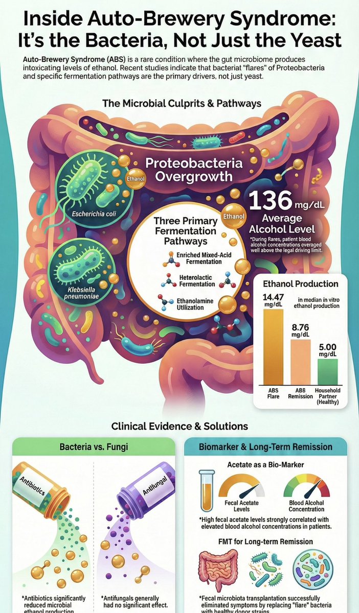 DrAyushdoc's tweet photo. When the Gut Turns Brewery: Microbial Ethanol Production and Hidden Alcohol Exposure, must go through recent article in nature. https://t.co/7ykhAu4M7w