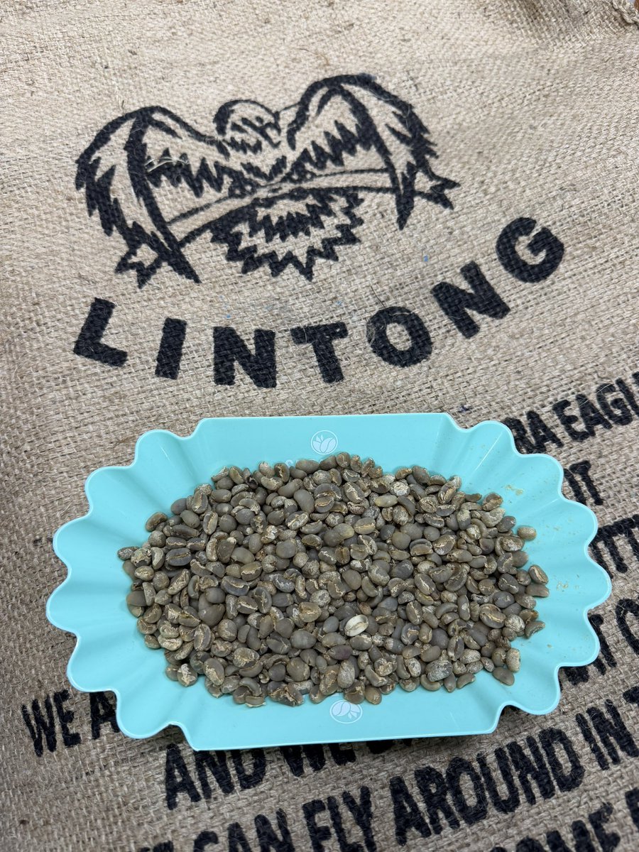 2/12〜より
インドネシア🇮🇩
リントン・グリーンゲッコウの
販売を開始いたしました！

THEマンデリン✨
というロットです。

品薄になっていた
インドネシア産ですが
少し充実してまいりました😊
#コーヒー生豆
#マンデリン