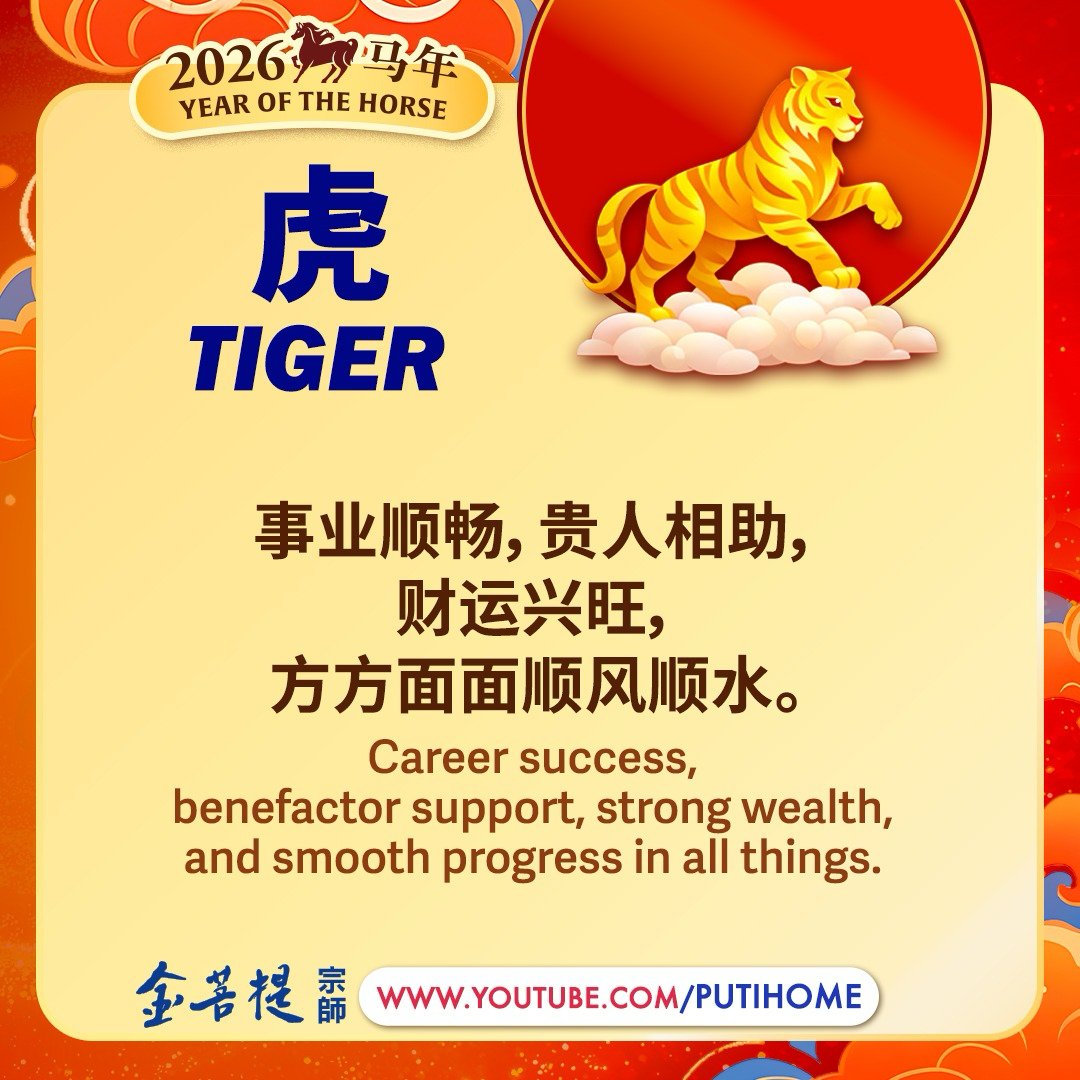 金菩提宗师 Master JinBodhi tweet media