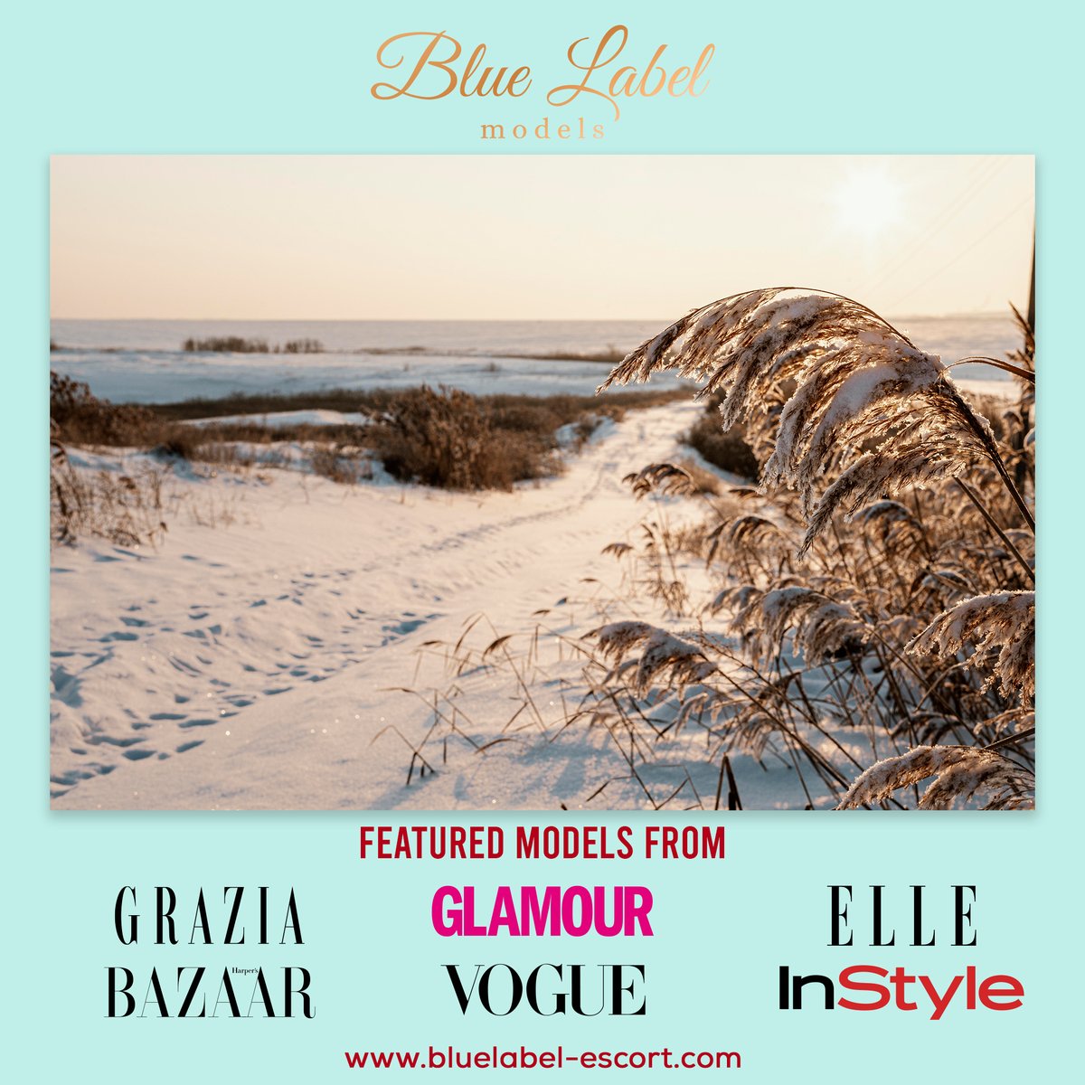 BLModels069's tweet image. Erlebe #DenHaag an der Seite eines #BlueLabelModels 🌊