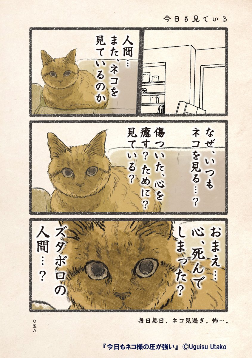 (2/4) 
