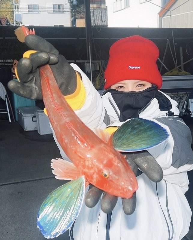 誕生日迎えました！ 父母周りのみんないつもありがと💙ᩚ 縁起の良い魚