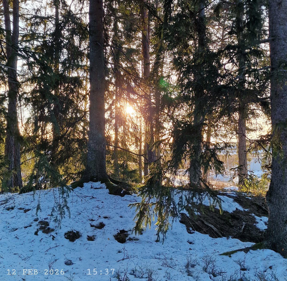 IDadzkov's tweet photo. Winter sun.
#nature #winter #sun #snow #trees #SnowPhoto https://t.co/ueTAfKZJIX