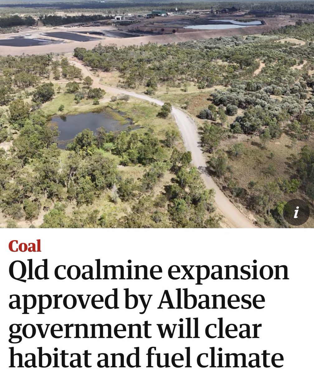 Labor approves ANOTHER coal project. They are owned by big polluters, big corporations and billionaires. This expansion destroys 81 hectares of endangered greater glider habitat and 183 hectares of endangered koala habitat 🤬👇🏼

theguardian.com/environment/20…