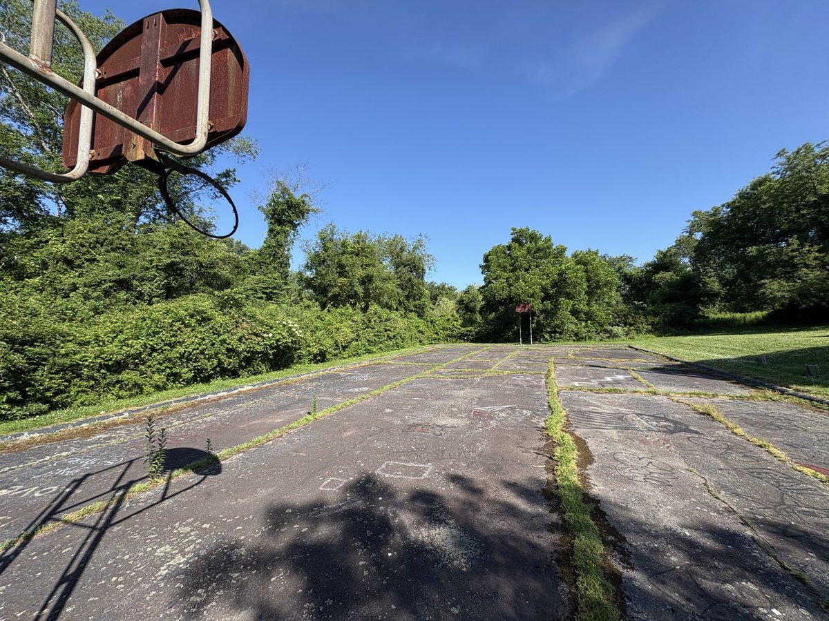 Scott Barrett tweet media