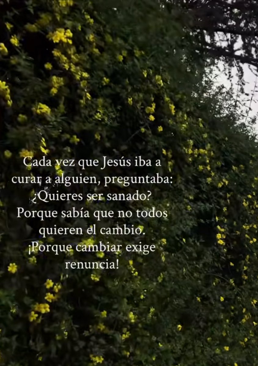 luuciamhh's tweet photo. Señor ayúdanos a no tener miedo a cambiar por ti https://t.co/t7rYap4AQK