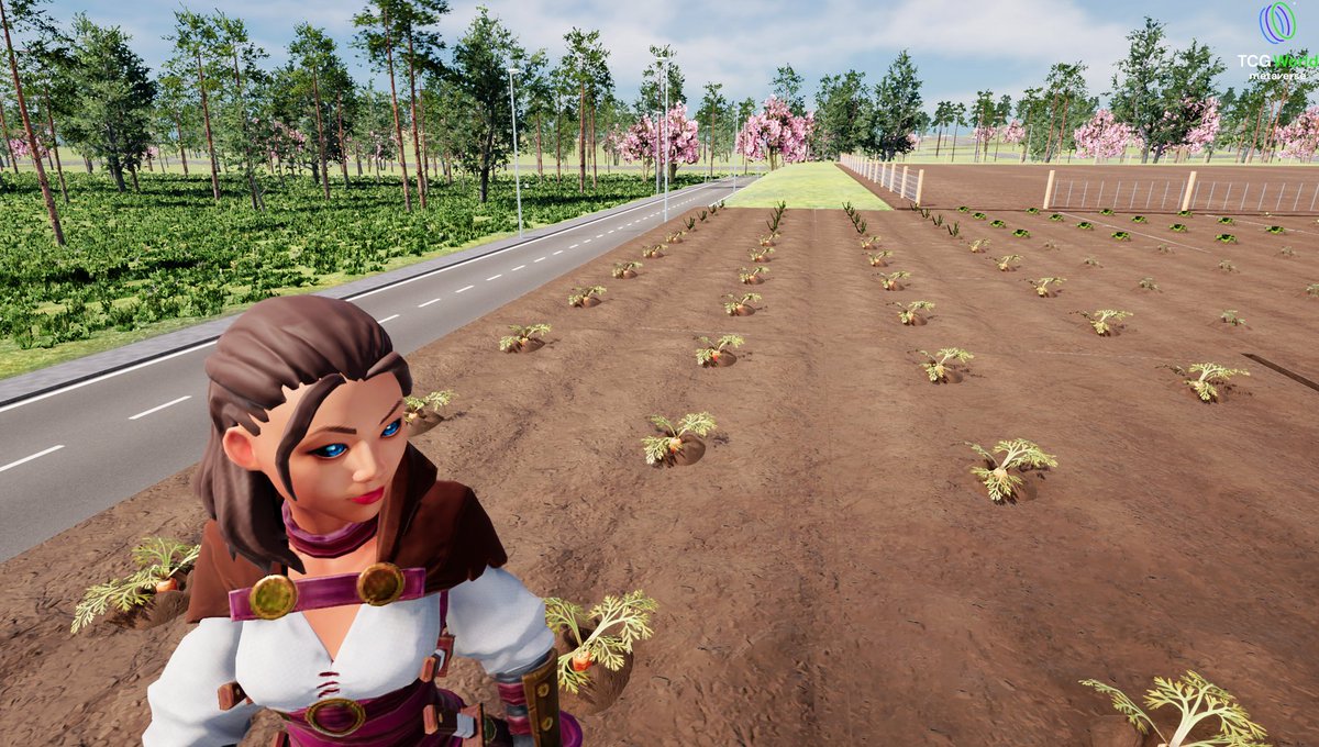 PJ Krypto tweet media