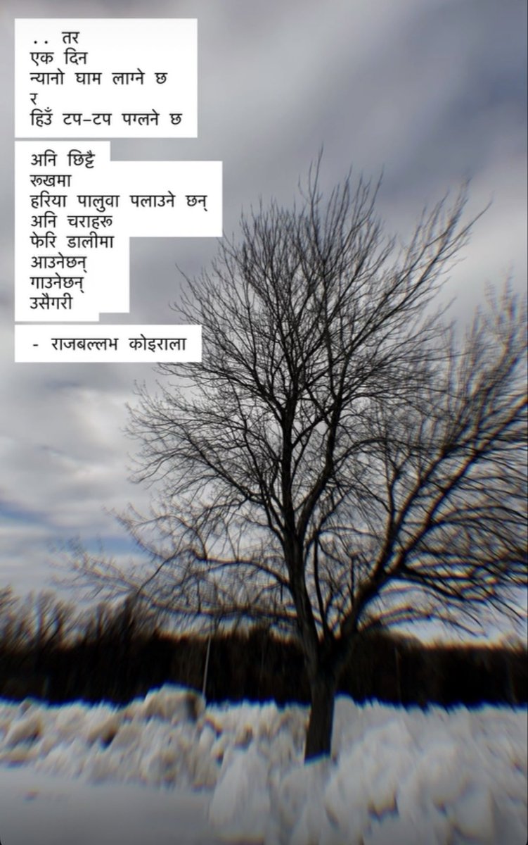 Raj Ballav Koirala (राजबल्लभ कोईराला) tweet media