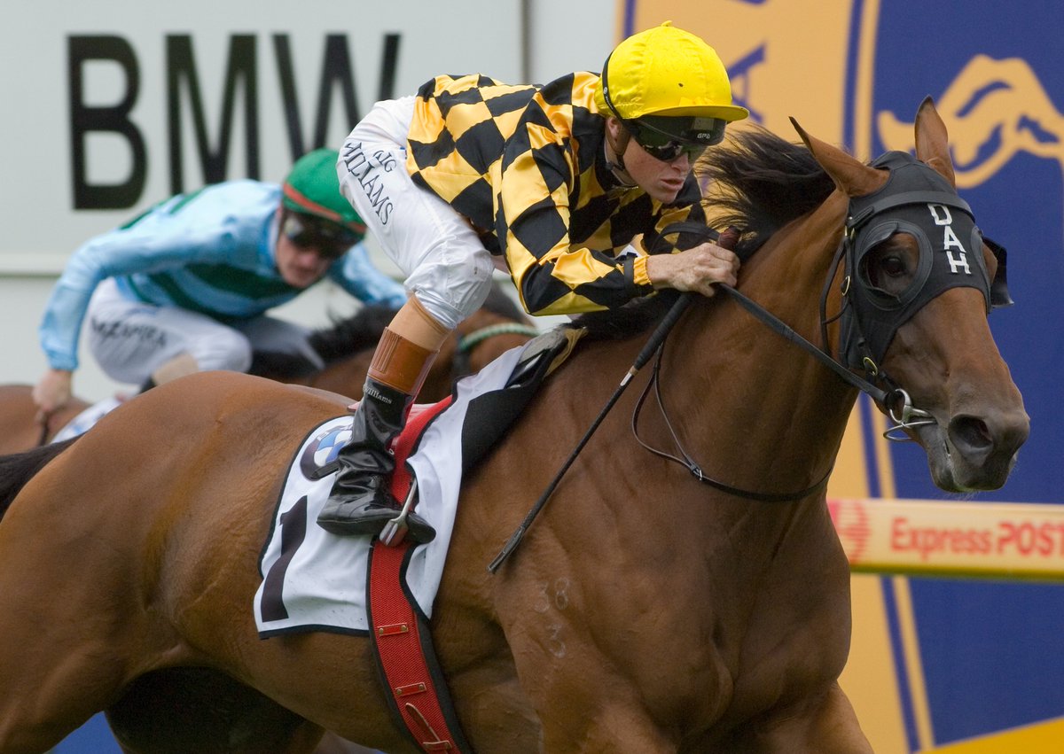 Arrowfield Stud tweet media