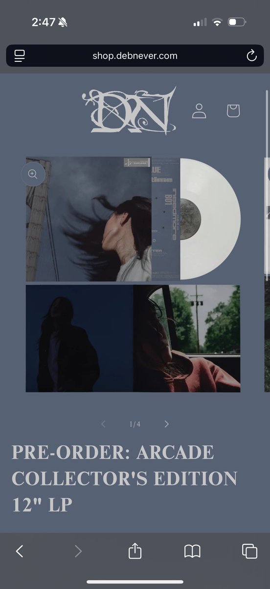 Deb Never tweet media