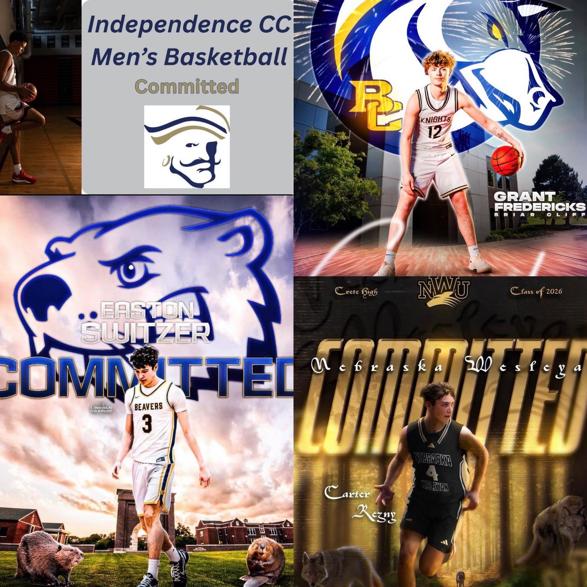 Thomas Viglianco tweet media