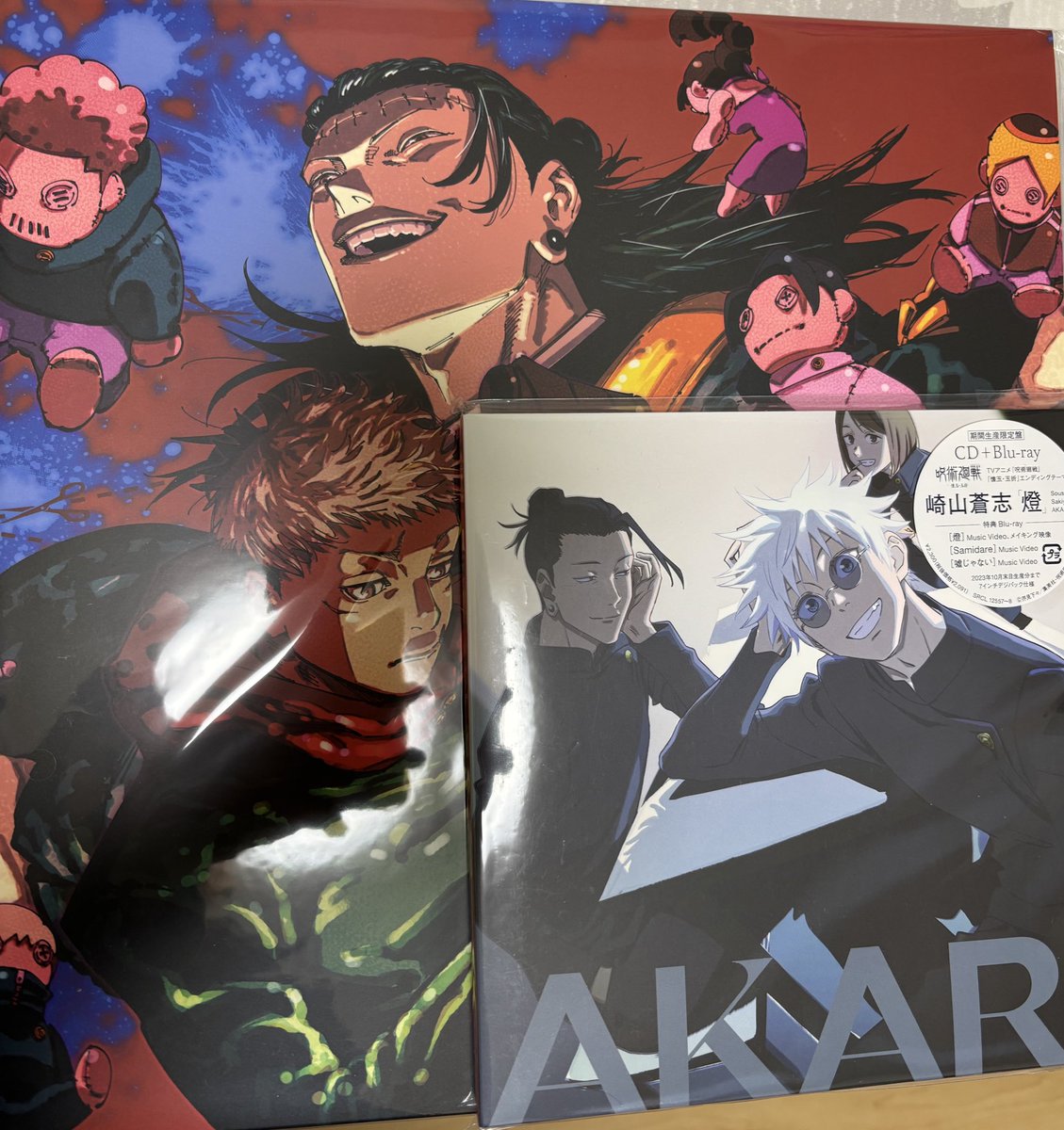 AIZOが届いたけどデカすぎて笑う