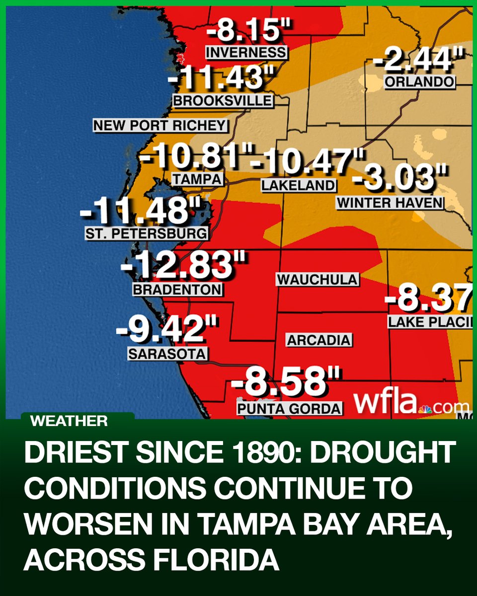 WFLA NEWS tweet media