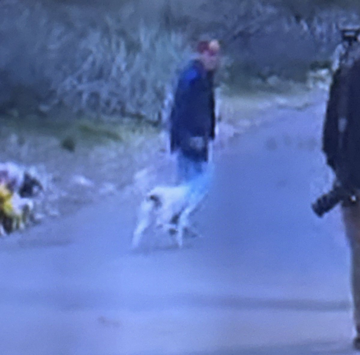 chiIIum's tweet photo. We can’t believe we have to say this, but your deputy just let a highly agitated liberal march onto Nancy’s property to scream at him like he was her son.

And to top it all off, she let her dog take a piss within feet of Nancy’s growing memorial. 

Oh, and she threatened “to get” an independent journalist for filming her, whatever that means.