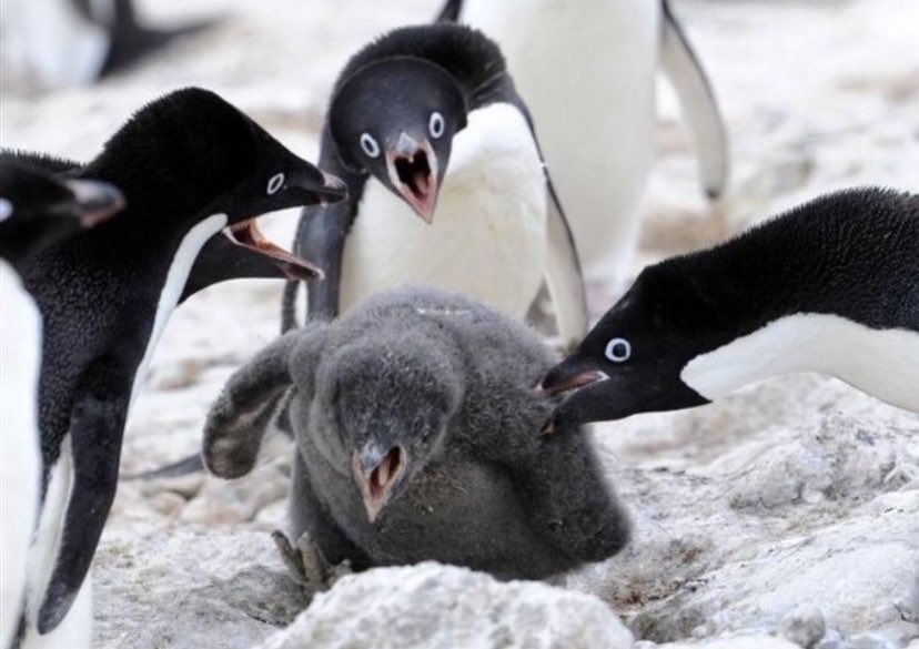 ◀︎メーカー基礎研究職
▶︎メーカー設計開発職、生産技術職、品質管理職