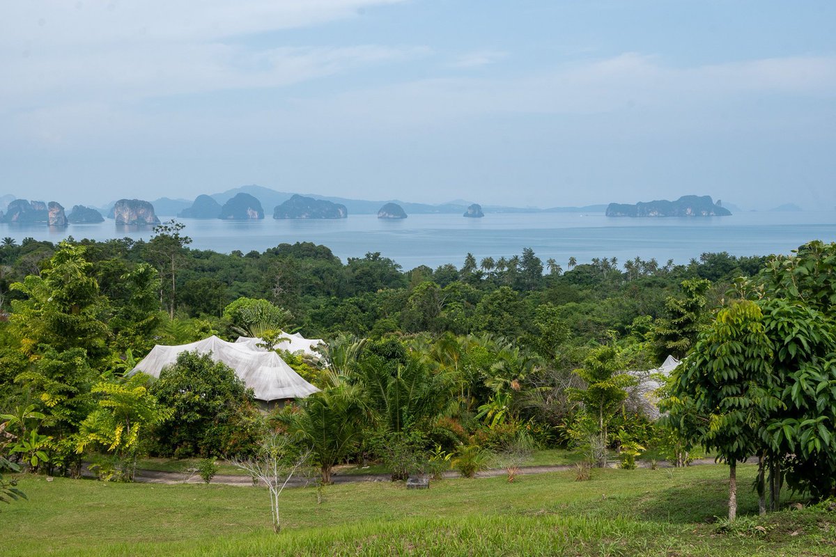 OakCover's tweet photo. Thailand beach resorts that justify their setting: boat-only peninsulas, cliffside infinity villas, eco cottages under karst walls, canvas tents with bay views. We tested five. Full guide:
https://t.co/wtE2mtT4kK 
#Thailand #BeachResorts #TravelThailand https://t.co/YLc0LTN62g