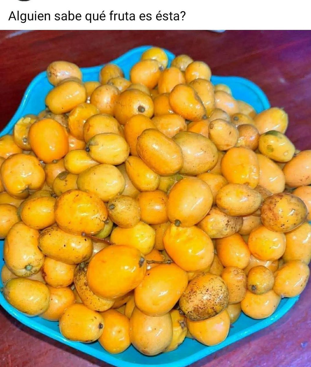 Diego Prieto✈️ tweet media