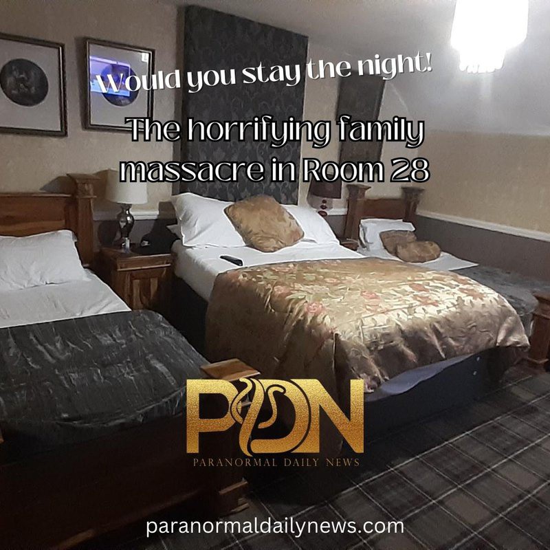 Jock Brocas tweet media