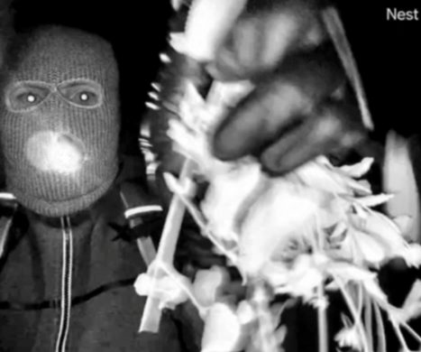 SUSPECT AT LARGE | Authorities released new information about the suspect in connection with the disappearance of 84-year-old Nancy Guthrie.
bit.ly/4aAszgT
They also shared images of an Ozark Trail Hiker Pack, which investigators said the suspect was seen wearing.