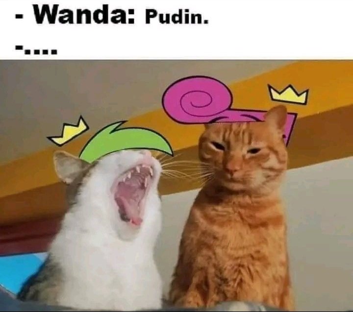 Renma 🇸🇪🇧🇩 (@renmaa_owo) on Twitter photo 