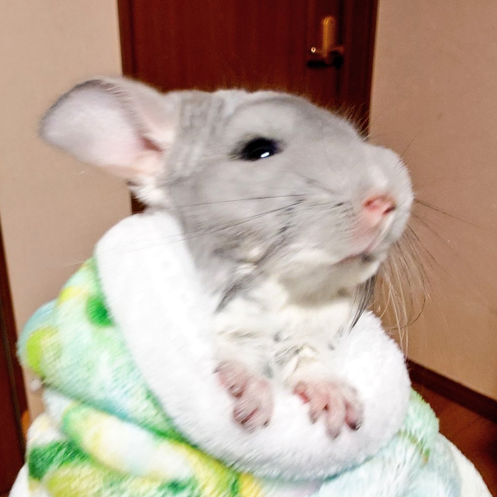 かんな (@angelite0831) / Posts / X