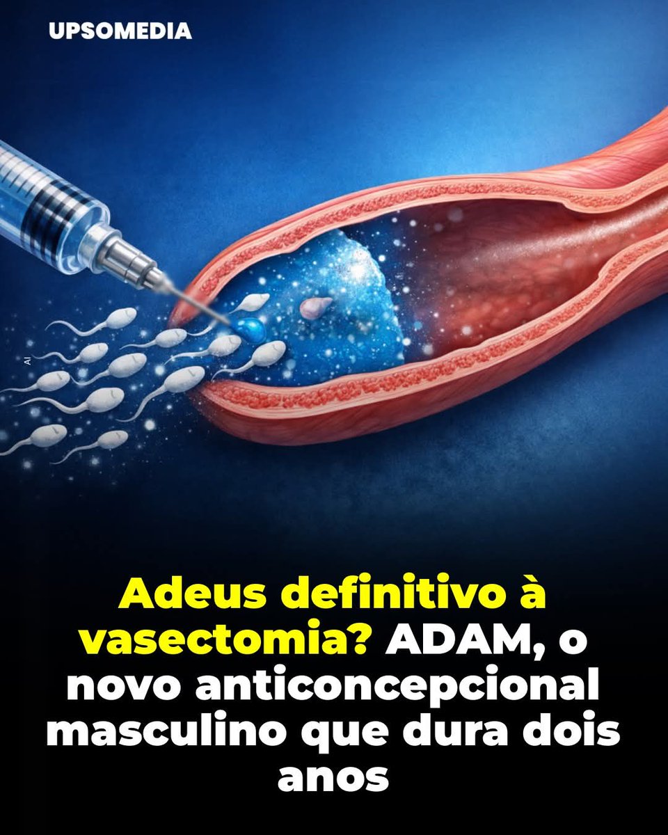 Paulo de Tarso tweet media