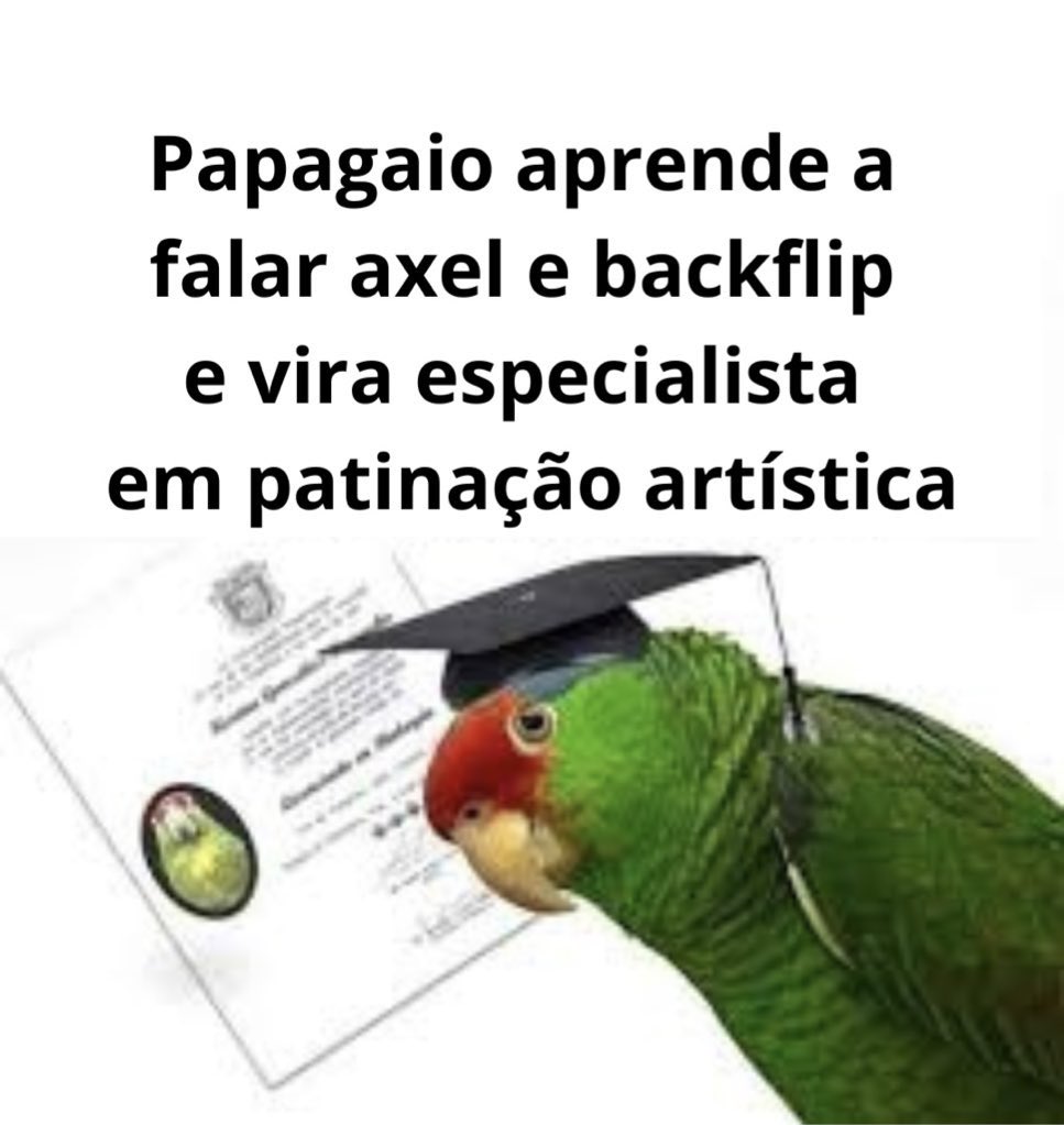 não tô aguentando essa galera defendendo com unhas e dentes o menino do parkour e achando que sabem alguma coisa sobre as regras dos componentes da patinação