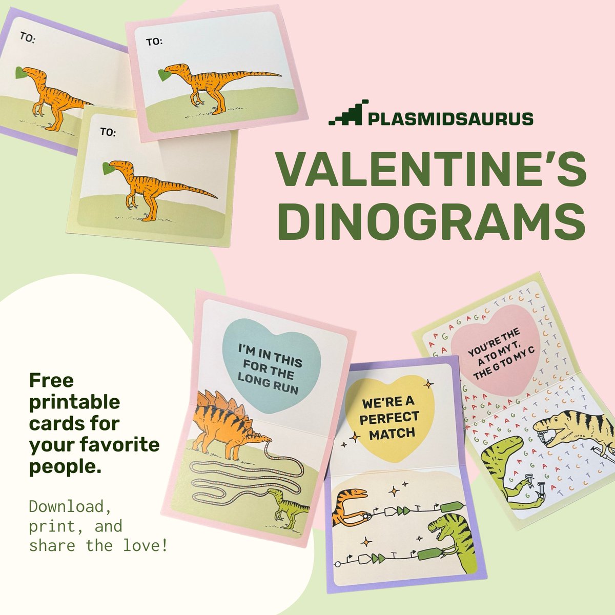 plasmidsaurus tweet media