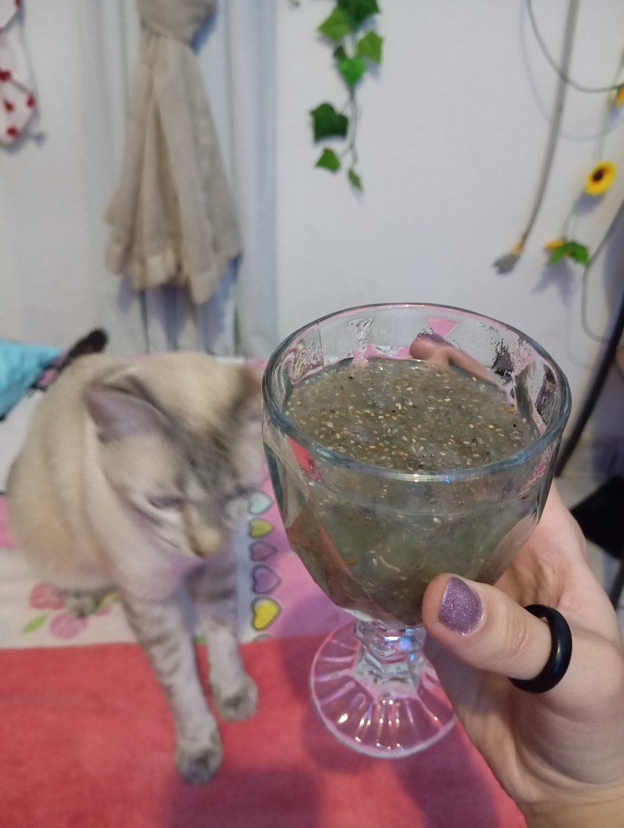 vimmadeer's tweet photo. Janta hj foi chia com suco de abacaxi ✨ https://t.co/HRnxlKZ5zO