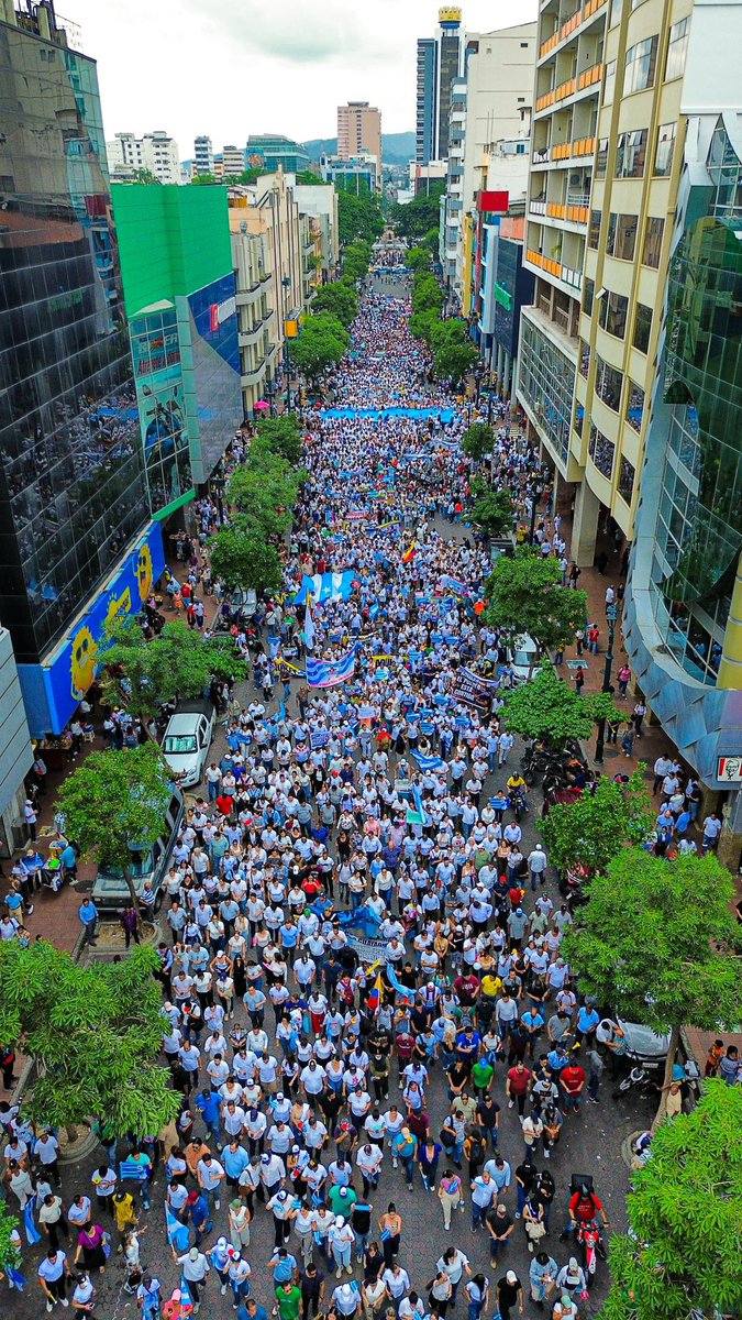 Que nadie olvide esta fecha.
12 de febrero 2026.
Día en que la gente del municipio de Guayaquil decidió y puso de prioridad cerrar las calles, obligar a los empleados del municipio, comerciantes y familiares de ellos a ir a una marcha para defender al indefendible Aquiles.