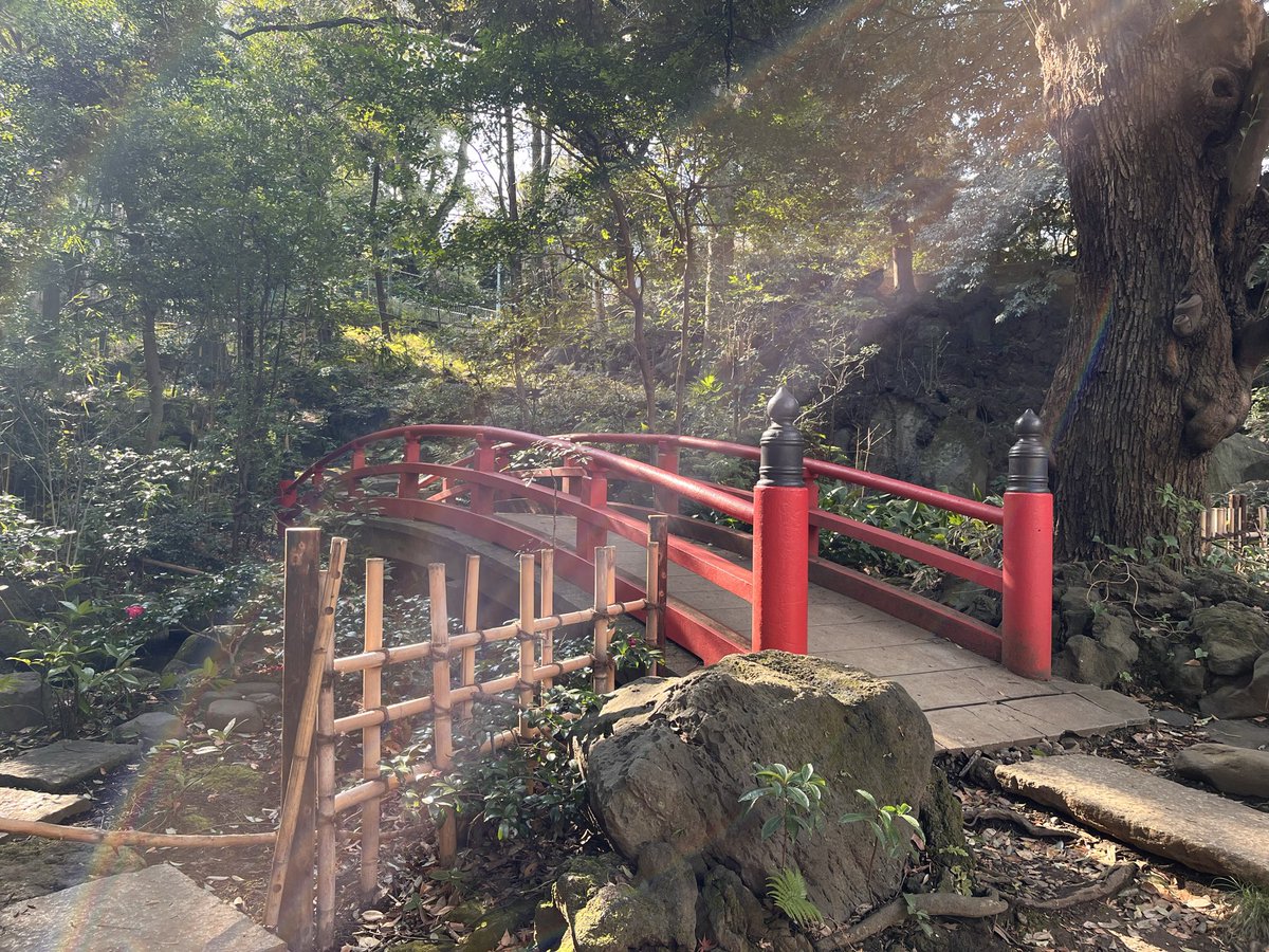 神社✨️