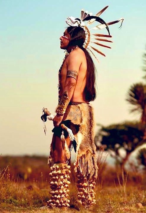 “A warrior seeks to act rather than talk.”

 – Carlos Castaneda 🪶✨
