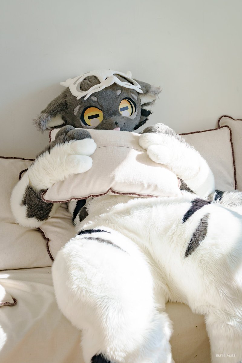 #FursuitFriday
너무 졸려..😴
📸<a href="/ELPL_Fur/">ELite PLUS📷 🔜 FurryJoA (日)</a>