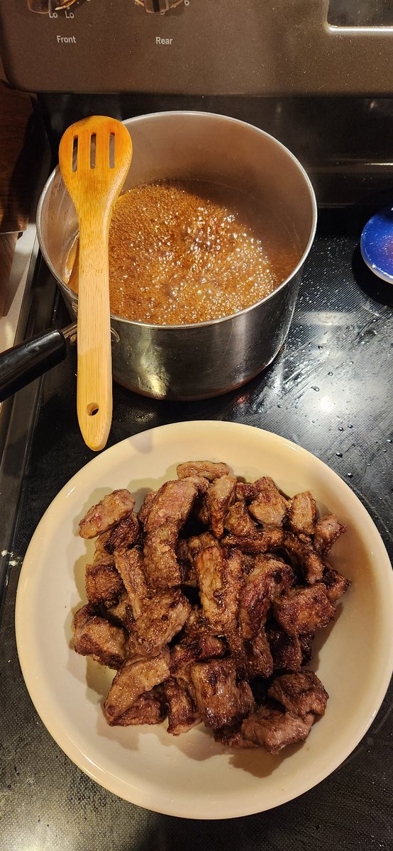 Mongolslop <a href="/AmanitaVirosa2/">Amanita Virosa</a>