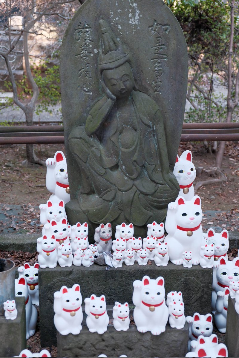 招き猫 shot on #FUJIFILMXE5 #XE5 #xf1855 FUJIFILM X-E5 + XF18