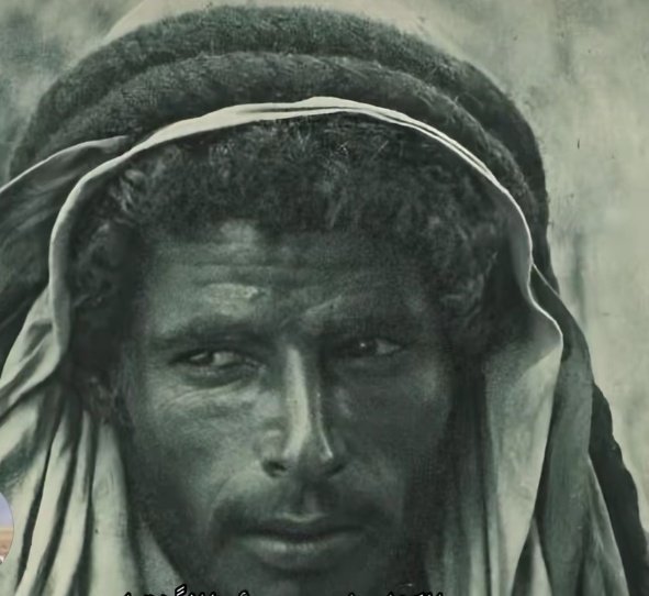 لست محاولآ تفسير معنى الحياة كل ما أحاول فعله بكل ماأوتيت من قوة محو هول هذأ التعجب إلا مفهوم
_ قميصي كما هو قلبي فقط  من قدته الحياة من دبر