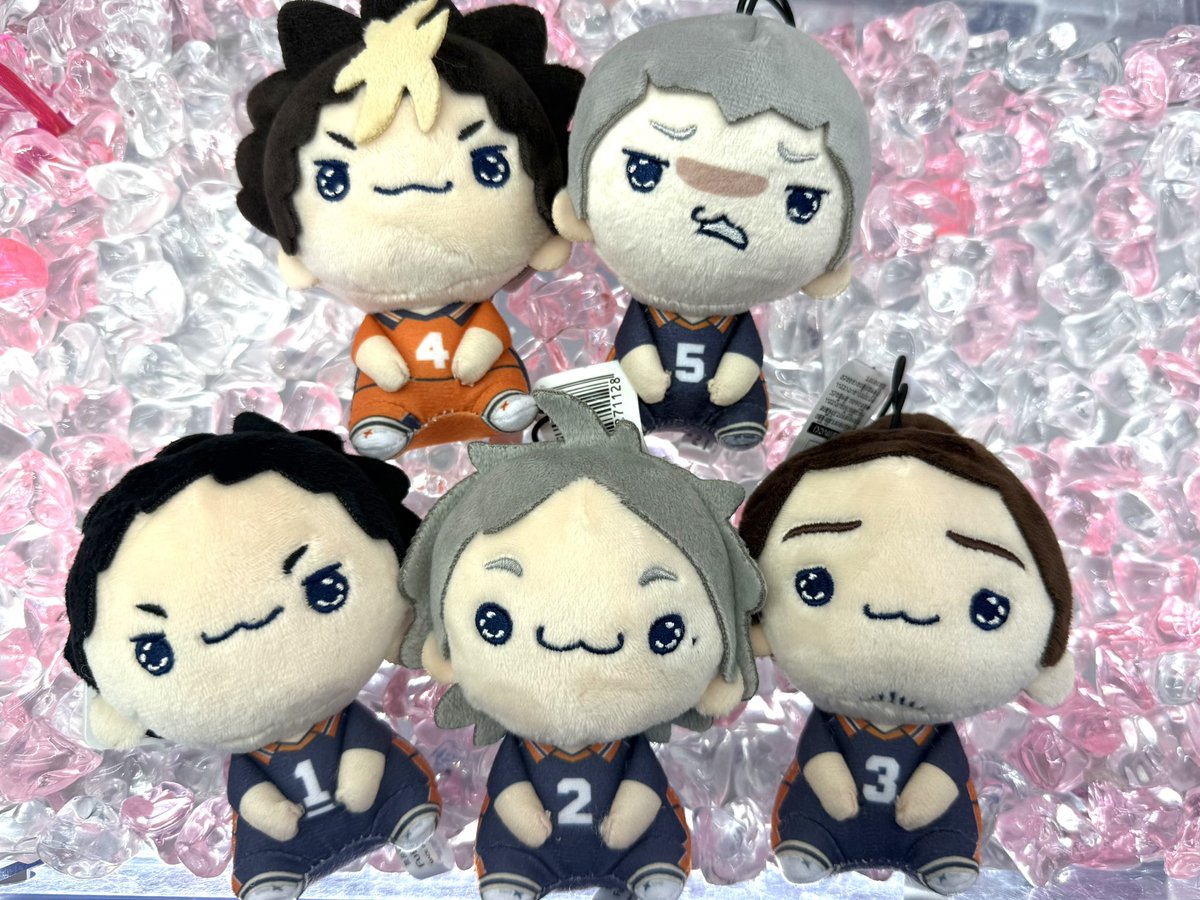 🏐2F新景品🏐 ハイキュー!!もちぴこマスコットvol.2 ハイキュー!!もち