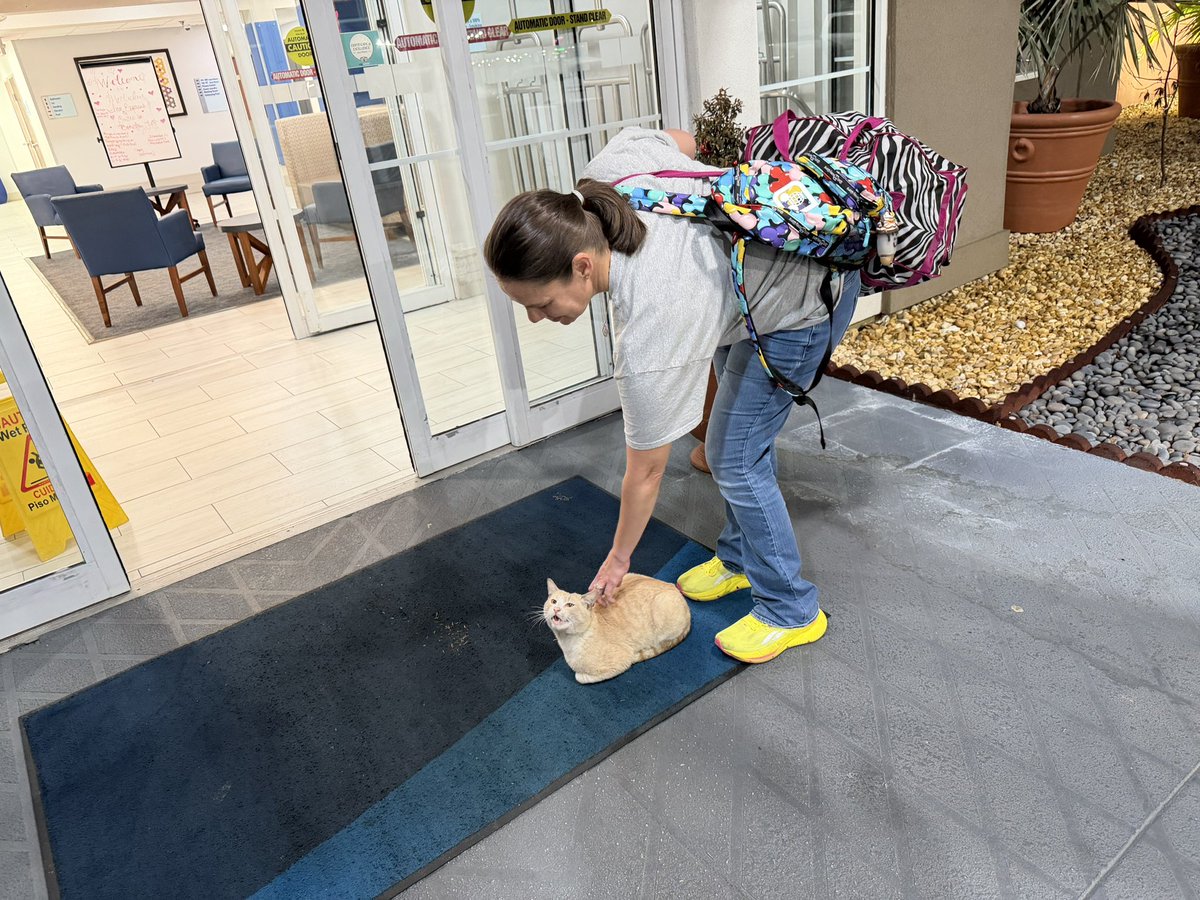 CajunCybertruck's tweet image. Reflecting on this trip as I get ready for bed. I hate driving long distances, or rather I used to hate driving long distances. 

This is the first time i have driven more than 3 hours with v14. From the time I left my driveway Prairieville until I got to Orlando, I only took…