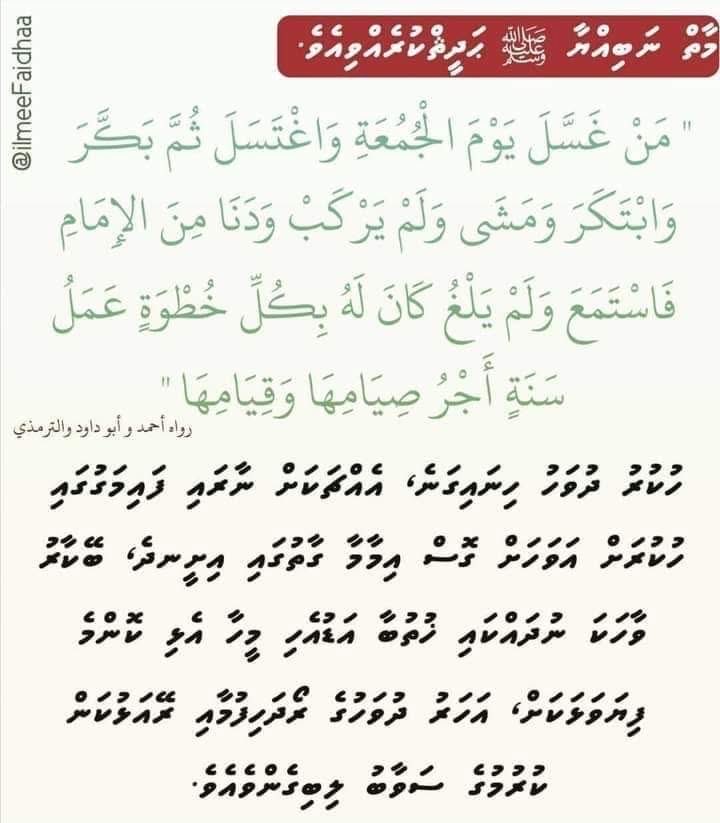 LabeebIbrahim's tweet image. 