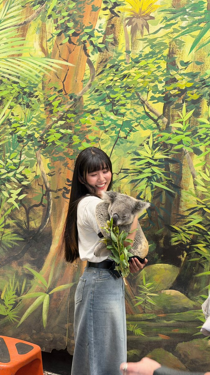 リンリン 林佳棻☀︎台湾出身 (@chiafen0915) / Posts / X