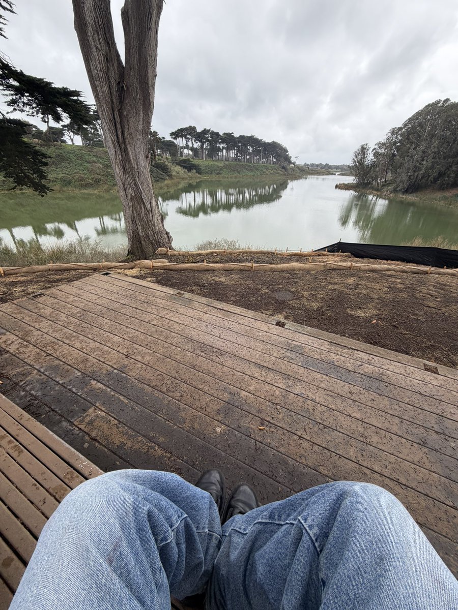 brandonheredia_'s tweet image. i just be chillin #lakemerced