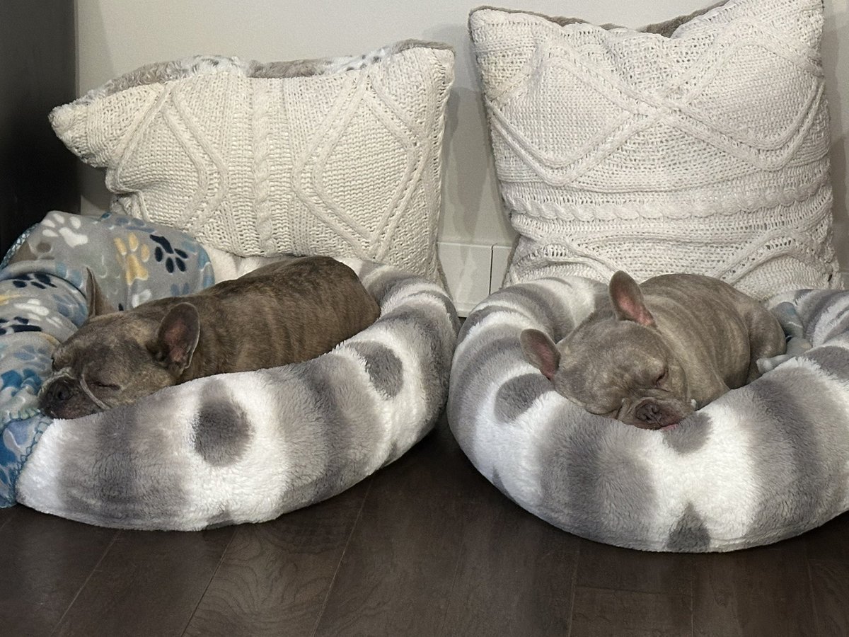 KoffeeKandi tweet media